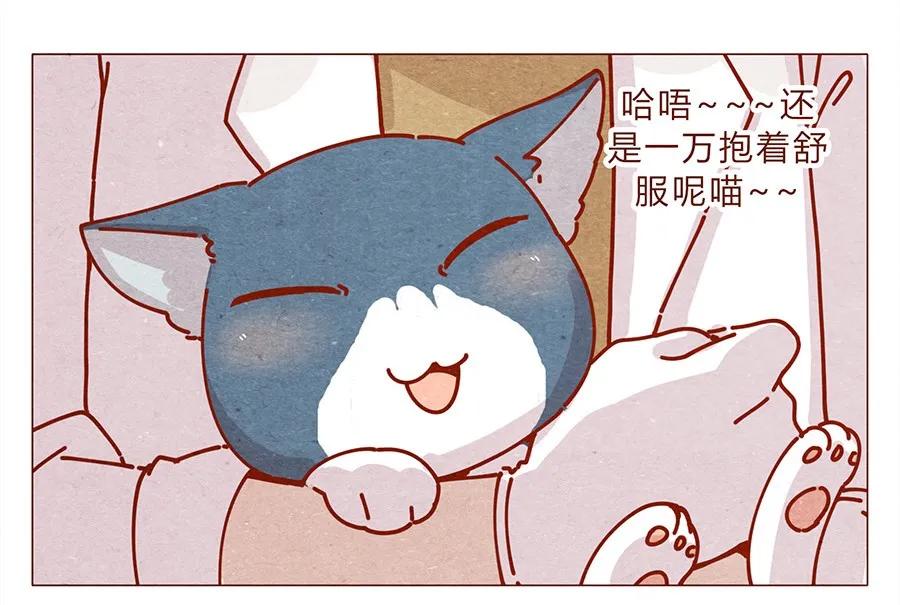 喂，看见耳朵啦 - 172话 汪来喵去 - 第3张图