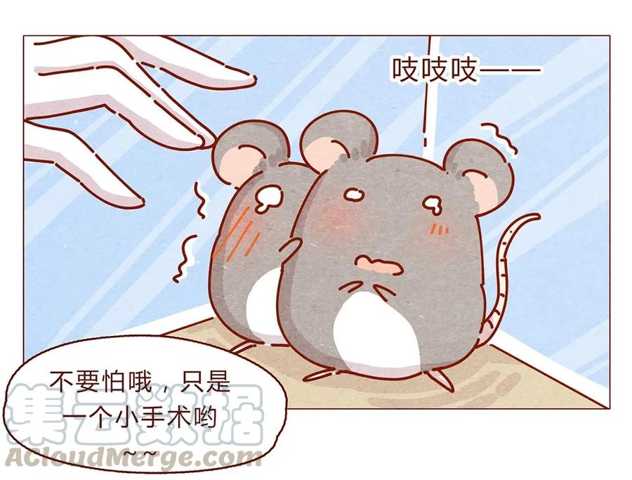 喂，看见耳朵啦 - 174话 那……谁啊？ - 第7张图