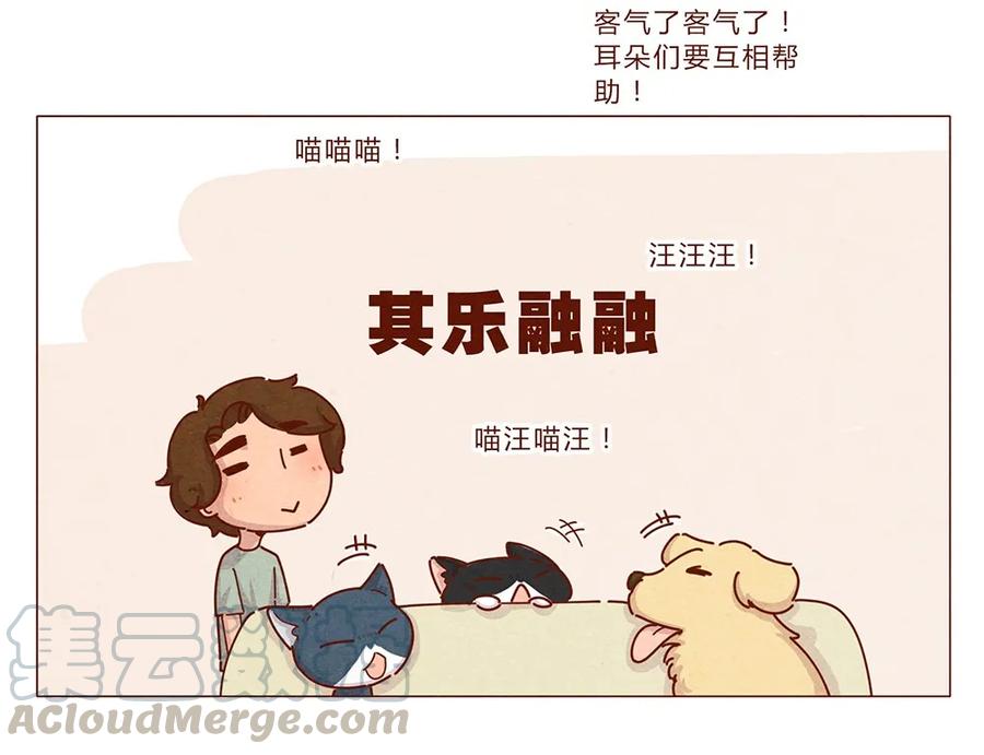 喂，看见耳朵啦 - 187话 疯了疯了作者疯了 - 第5张图