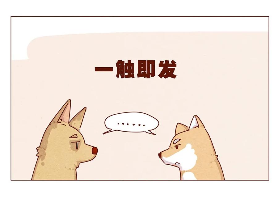 喂，看见耳朵啦 - 187话 疯了疯了作者疯了 - 第6张图