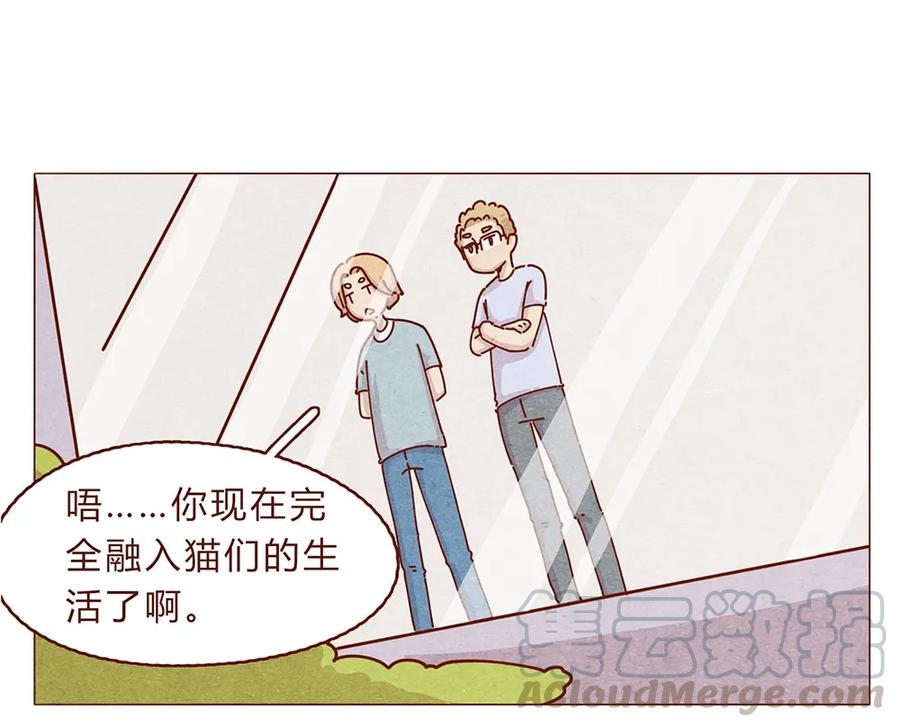 喂，看见耳朵啦 - 188话 我爱你，我的家，我的天堂！ - 第13张图