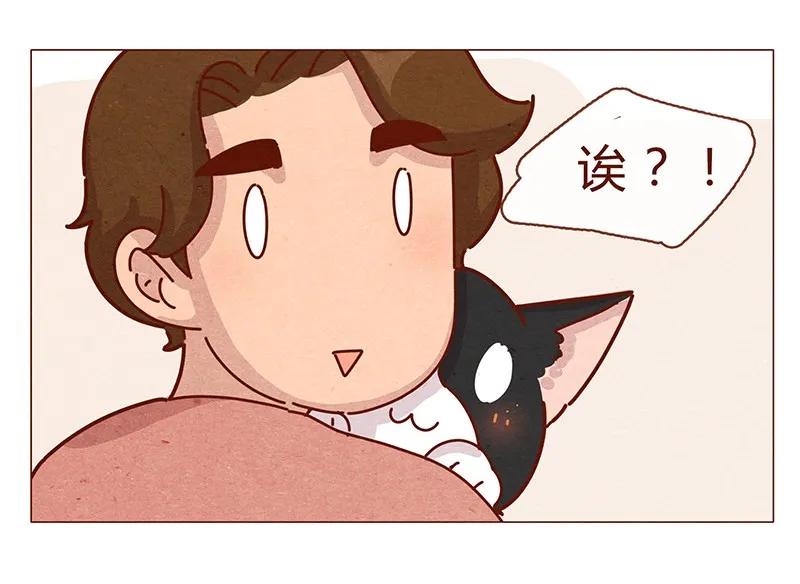 喂，看见耳朵啦 - 196话 你有别的猫！ - 第14张图