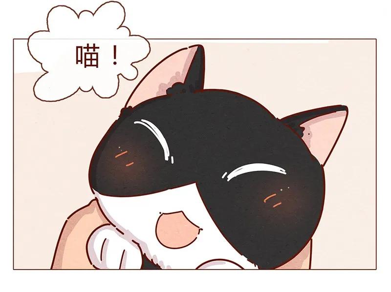 喂，看见耳朵啦 - 196话 你有别的猫！ - 第11张图