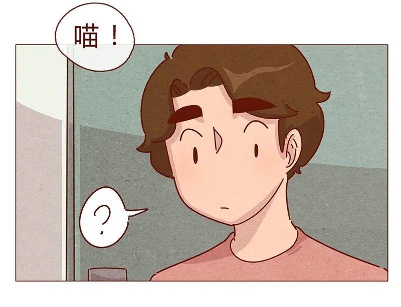 喂，看见耳朵啦 - 196话 你有别的猫！ - 第8张图