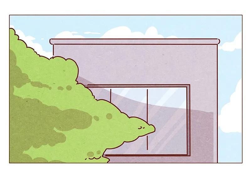 喂，看见耳朵啦 - 196话 你有别的猫！ - 第4张图