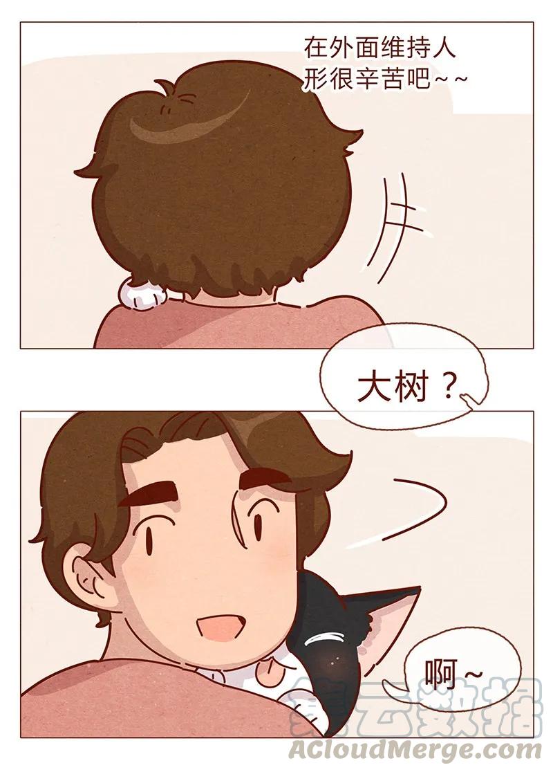 喂，看见耳朵啦 - 196话 你有别的猫！ - 第13张图
