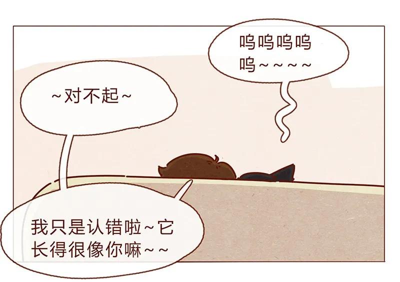 喂，看见耳朵啦 - 196话 你有别的猫！ - 第19张图