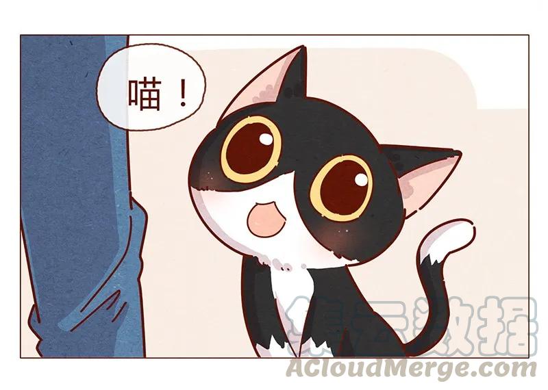 喂，看见耳朵啦 - 196话 你有别的猫！ - 第9张图