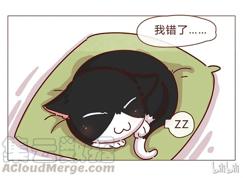 喂，看见耳朵啦 - 196话 你有别的猫！ - 第21张图