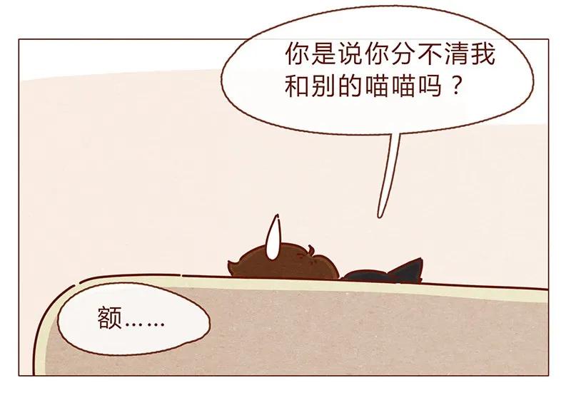 喂，看见耳朵啦 - 196话 你有别的猫！ - 第20张图