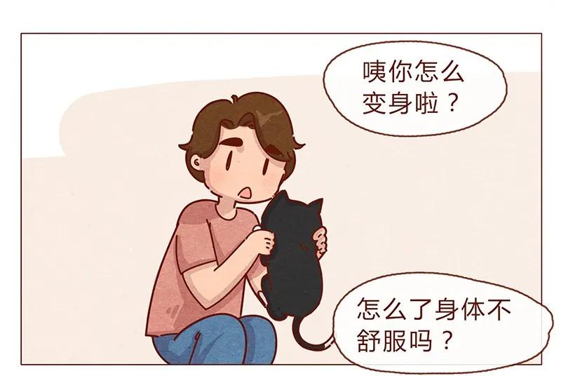 喂，看见耳朵啦 - 196话 你有别的猫！ - 第10张图