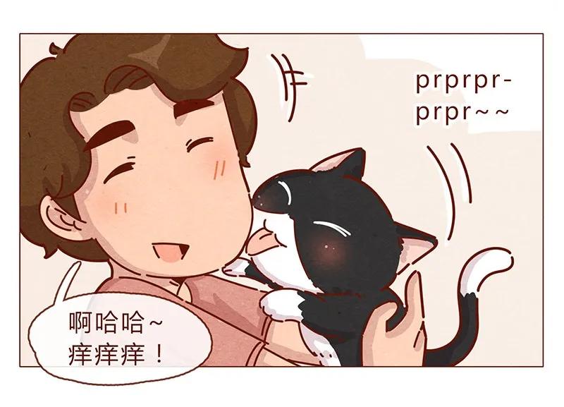 喂，看见耳朵啦 - 196话 你有别的猫！ - 第12张图