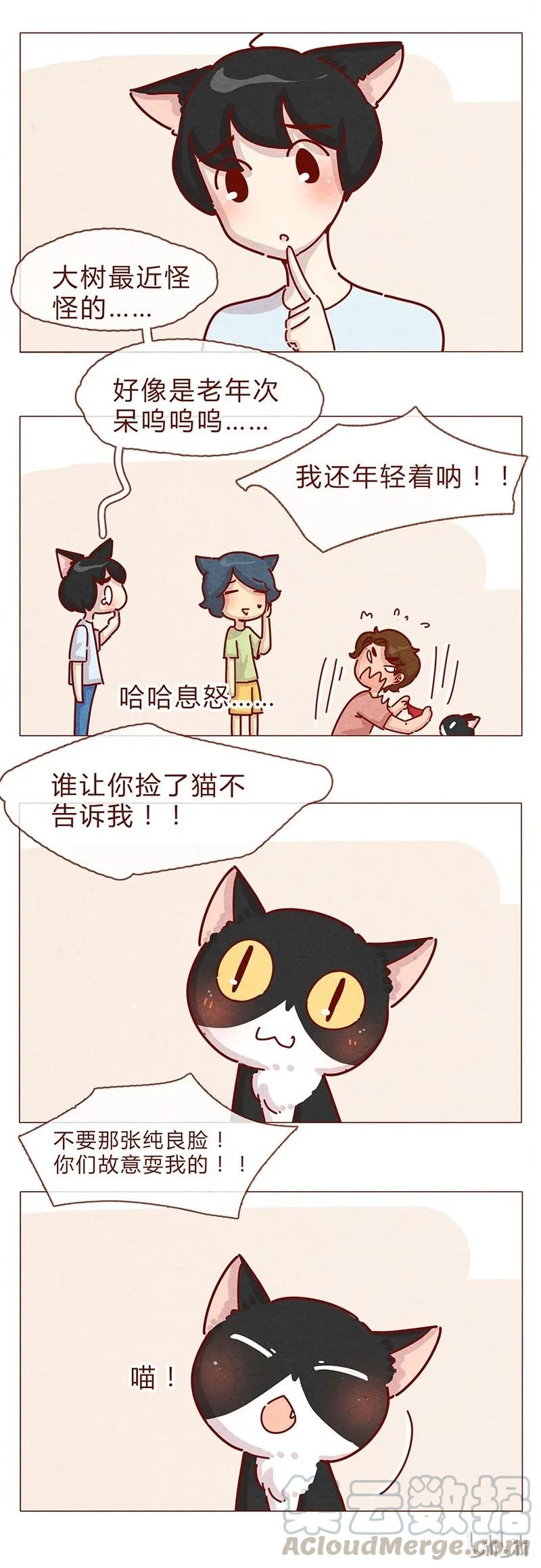 喂，看见耳朵啦 - 197话 你举着个胖次做什么 - 第13张图