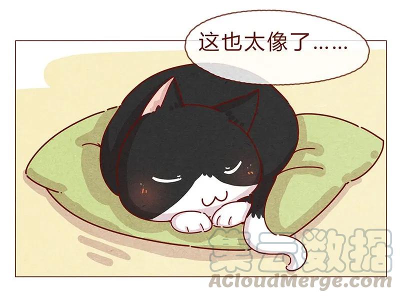 喂，看见耳朵啦 - 197话 你举着个胖次做什么 - 第3张图