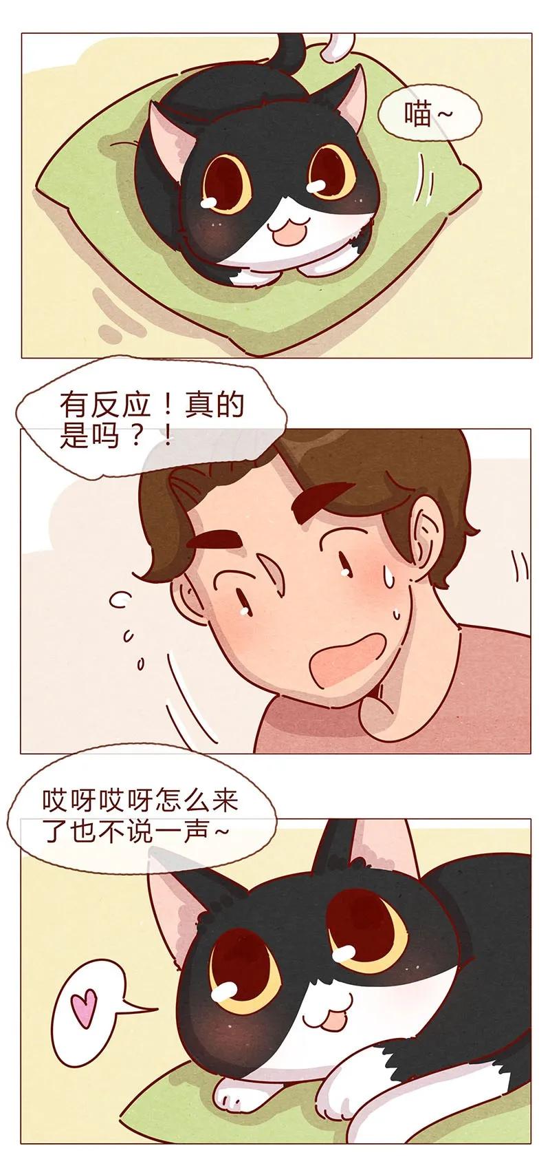 喂，看见耳朵啦 - 197话 你举着个胖次做什么 - 第6张图