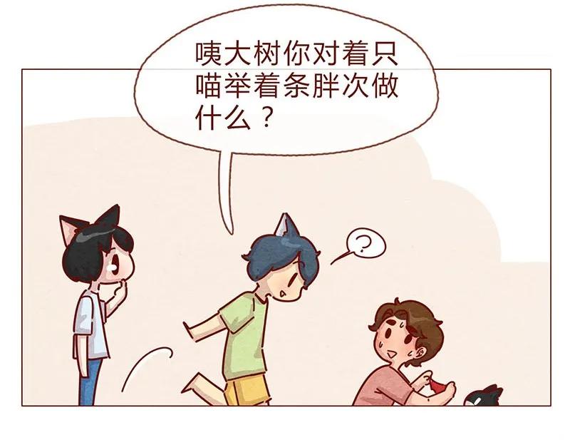 喂，看见耳朵啦 - 197话 你举着个胖次做什么 - 第12张图