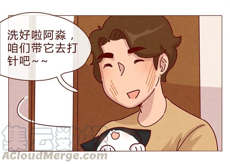 喂，看见耳朵啦 - 198话 吸猫不如吸淼 - 第17张图