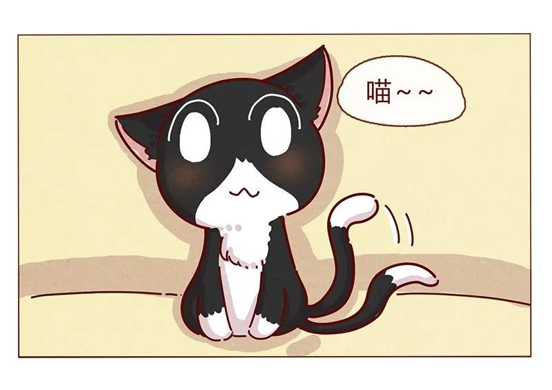 喂，看见耳朵啦 - 198话 吸猫不如吸淼 - 第20张图