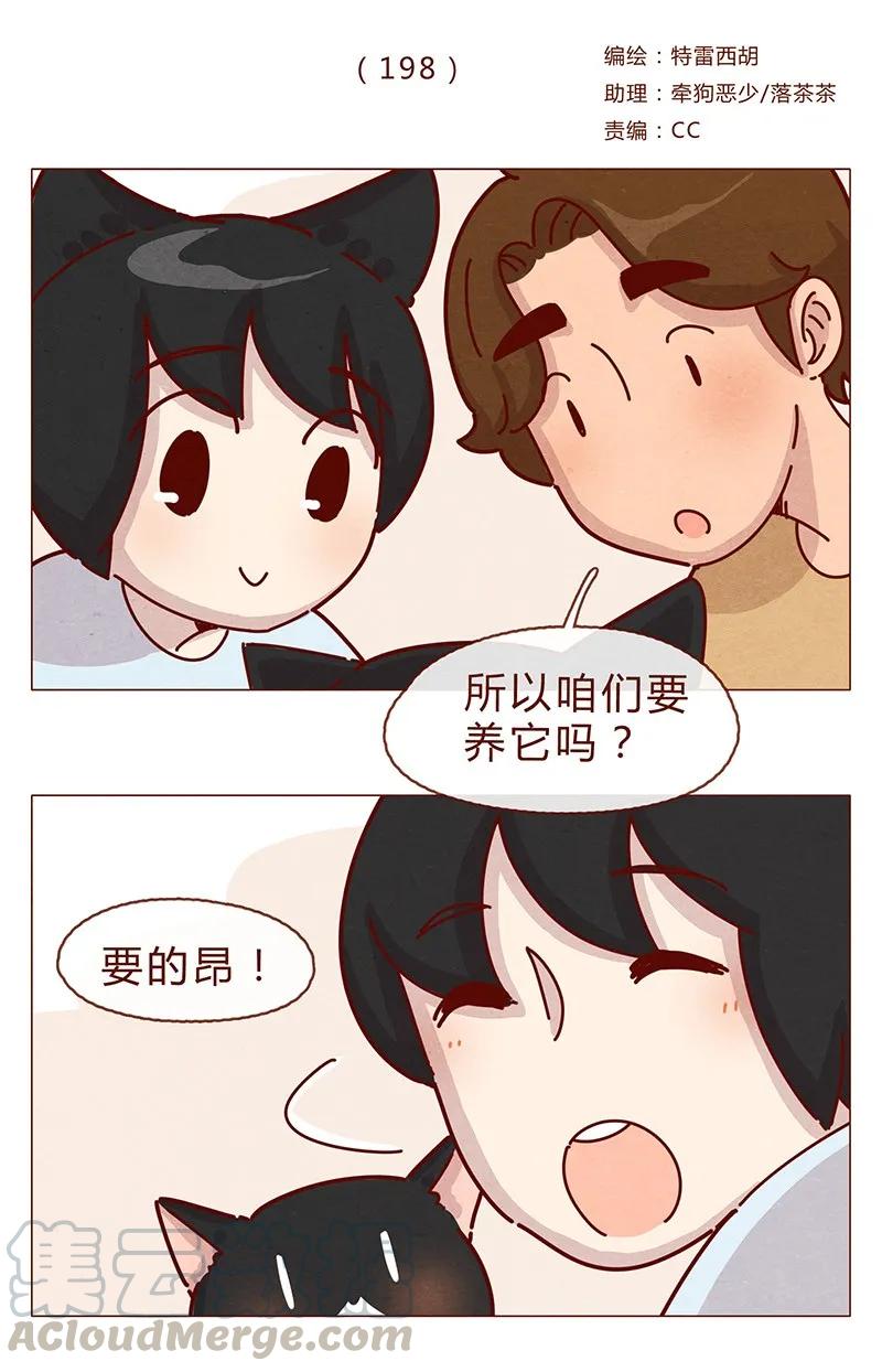 喂，看见耳朵啦 - 198话 吸猫不如吸淼 - 第1张图