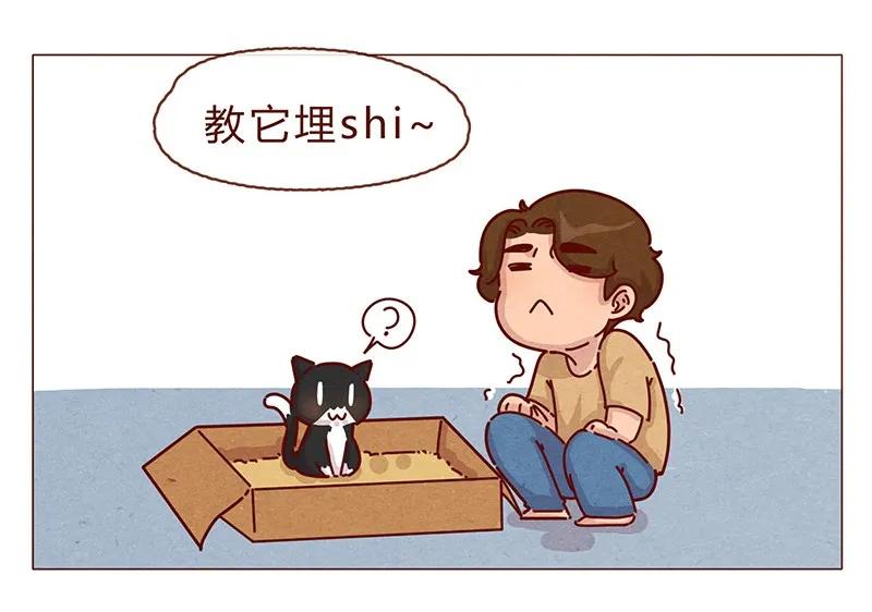 喂，看见耳朵啦 - 198话 吸猫不如吸淼 - 第8张图