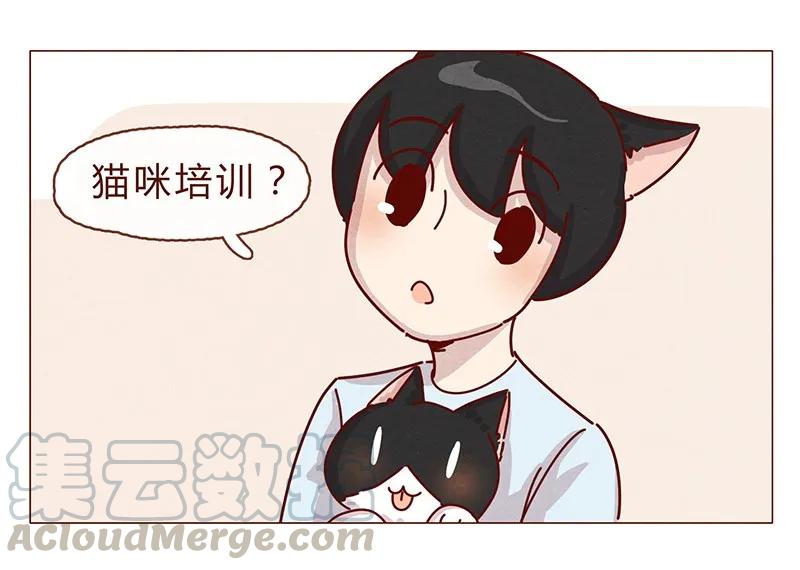 喂，看见耳朵啦 - 198话 吸猫不如吸淼 - 第5张图
