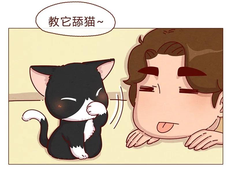 喂，看见耳朵啦 - 198话 吸猫不如吸淼 - 第7张图