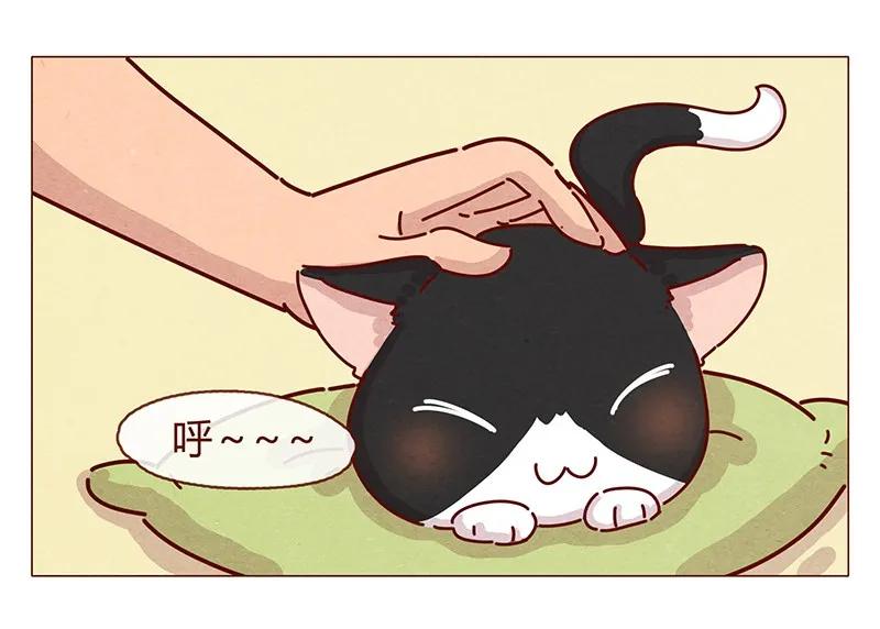喂，看见耳朵啦 - 198话 吸猫不如吸淼 - 第22张图