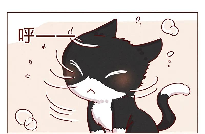 喂，看见耳朵啦 - 198话 吸猫不如吸淼 - 第15张图