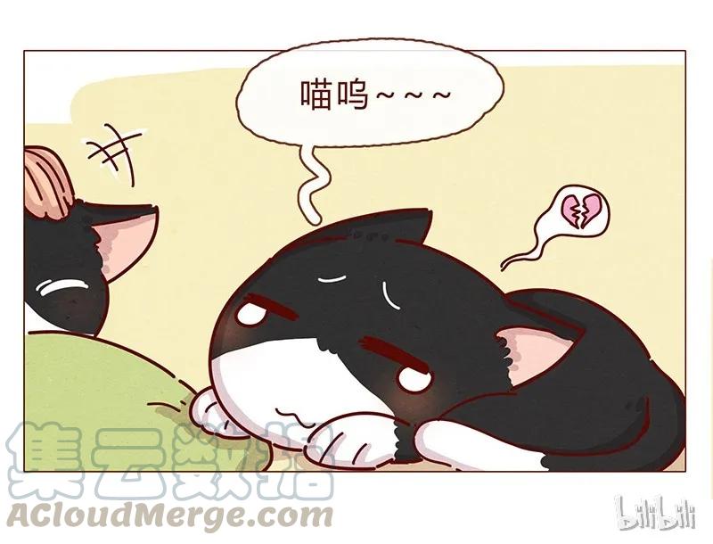 喂，看见耳朵啦 - 198话 吸猫不如吸淼 - 第25张图