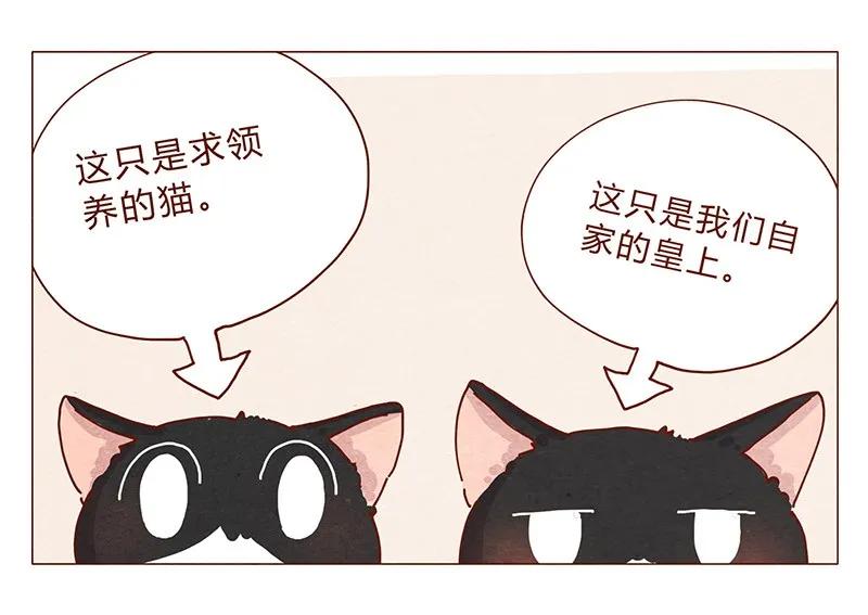 喂，看见耳朵啦 - 201话 领养比买难！ - 第4张图