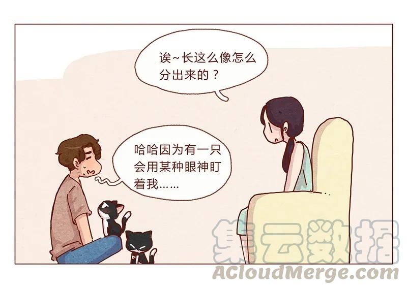 喂，看见耳朵啦 - 201话 领养比买难！ - 第5张图