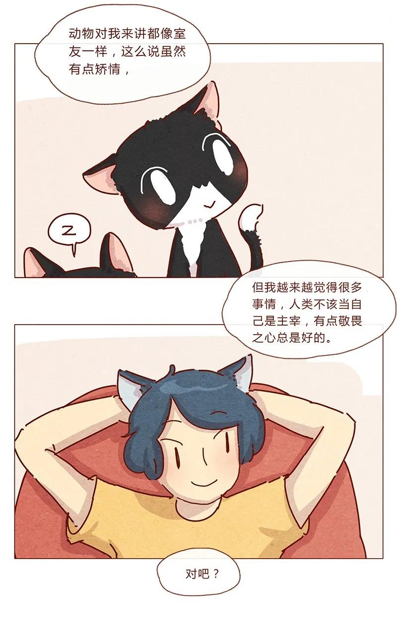 喂，看见耳朵啦 - 201话 领养比买难！ - 第14张图