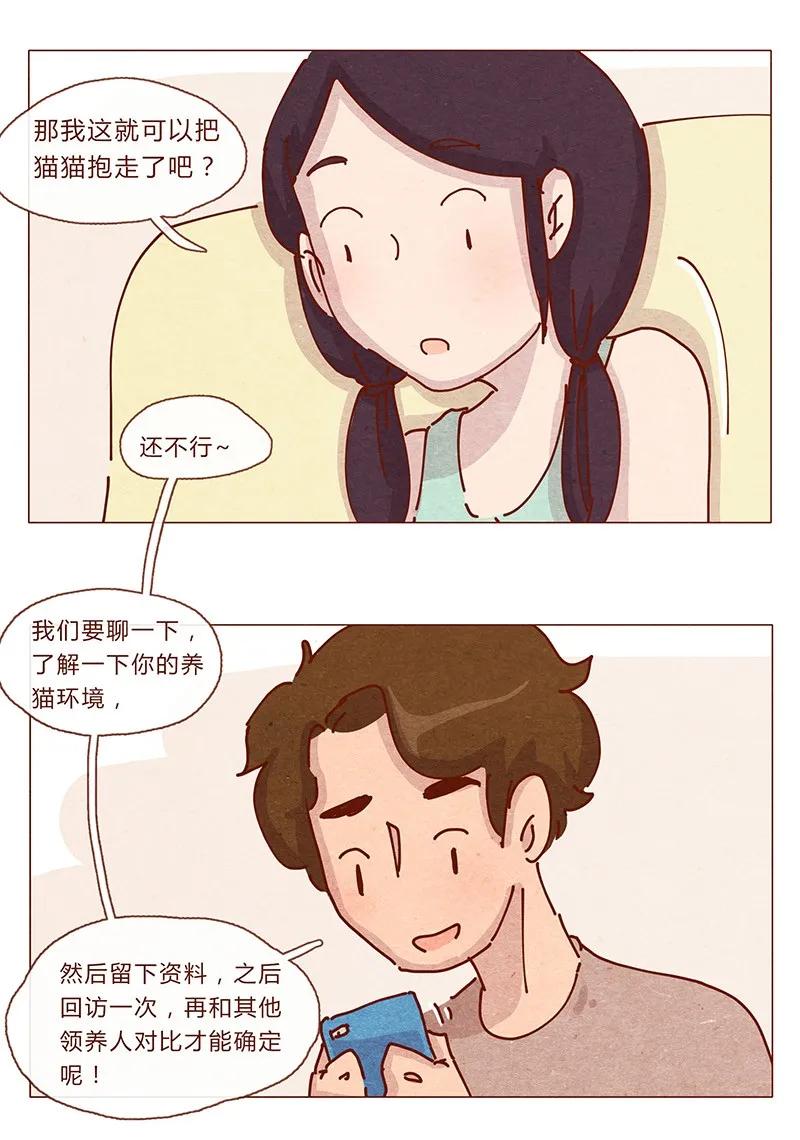 喂，看见耳朵啦 - 201话 领养比买难！ - 第6张图