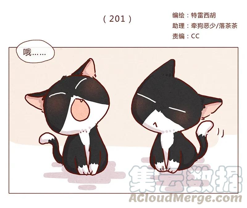 喂，看见耳朵啦 - 201话 领养比买难！ - 第1张图