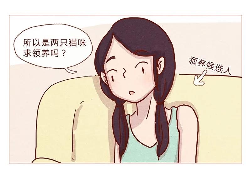 喂，看见耳朵啦 - 201话 领养比买难！ - 第2张图