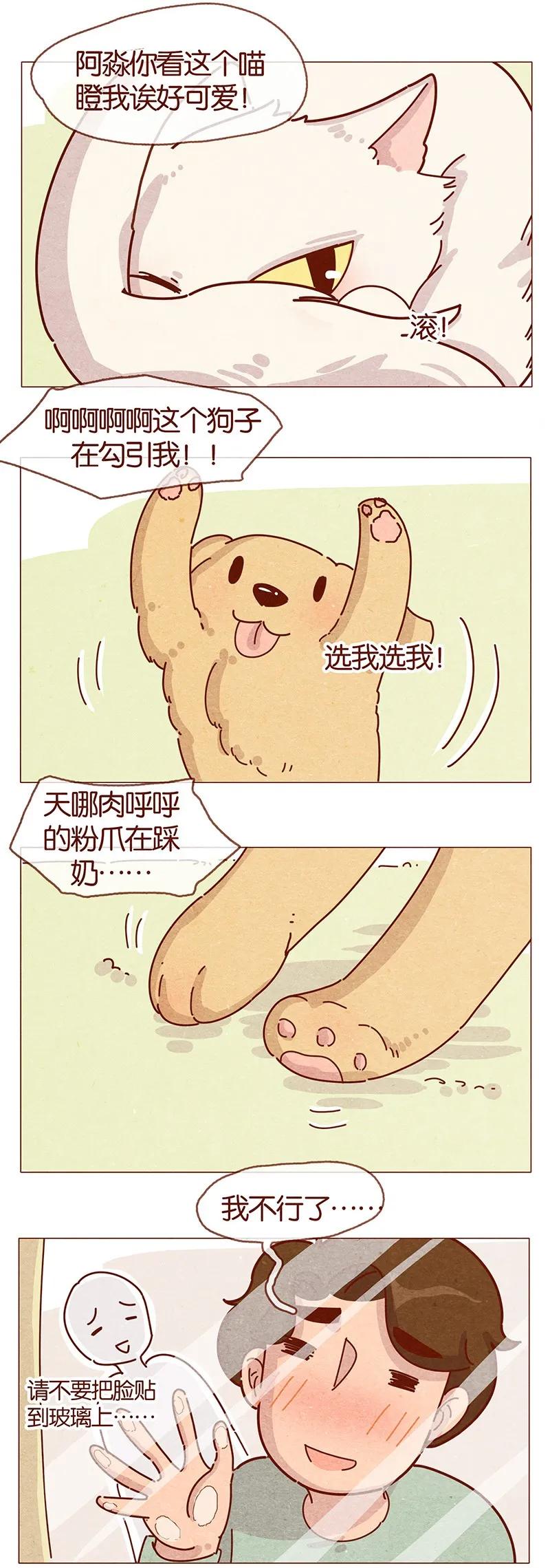 喂，看见耳朵啦 - 202话 领养日好玩吗？ - 第6张图