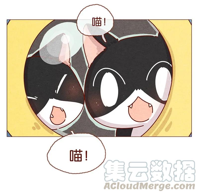 喂，看见耳朵啦 - 202话 领养日好玩吗？ - 第17张图