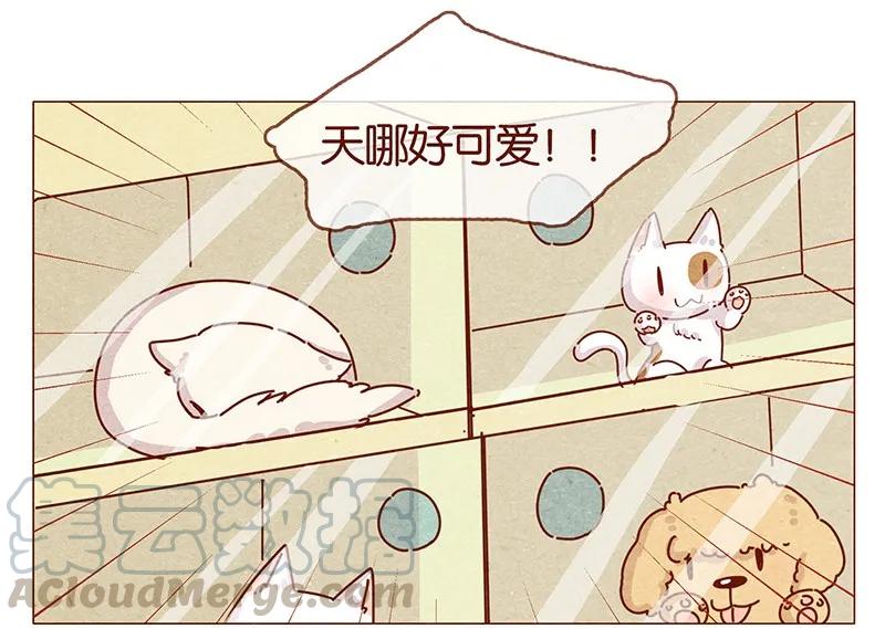 喂，看见耳朵啦 - 202话 领养日好玩吗？ - 第5张图