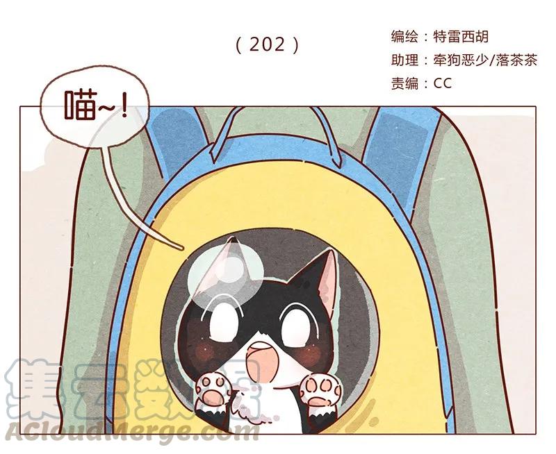 喂，看见耳朵啦 - 202话 领养日好玩吗？ - 第1张图