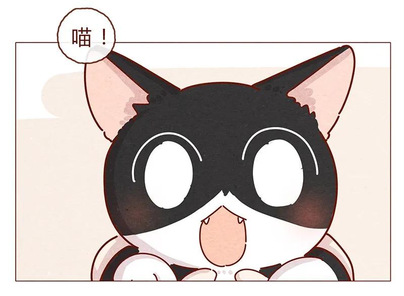 喂，看见耳朵啦 - 203话 遇到命中注定的猫猫 - 第6张图