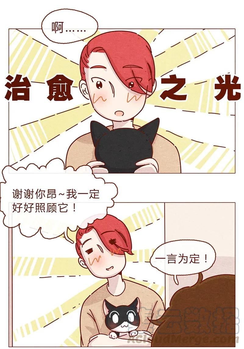 喂，看见耳朵啦 - 203话 遇到命中注定的猫猫 - 第7张图