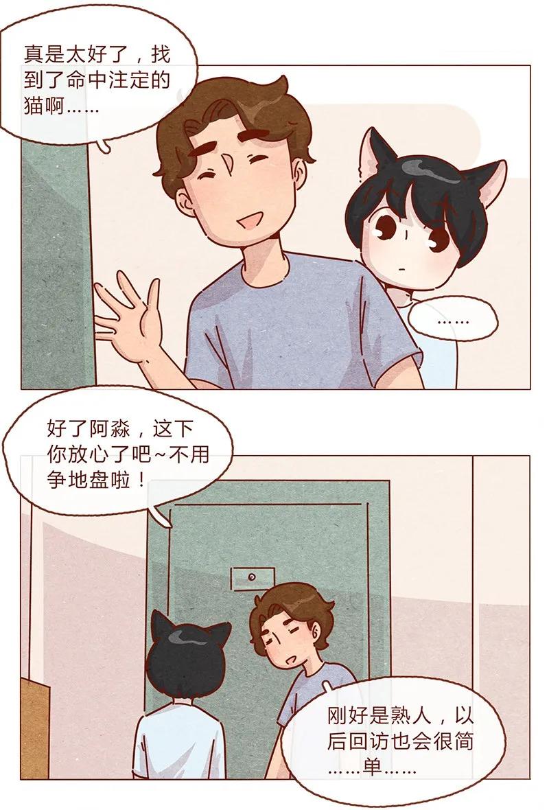 喂，看见耳朵啦 - 203话 遇到命中注定的猫猫 - 第8张图