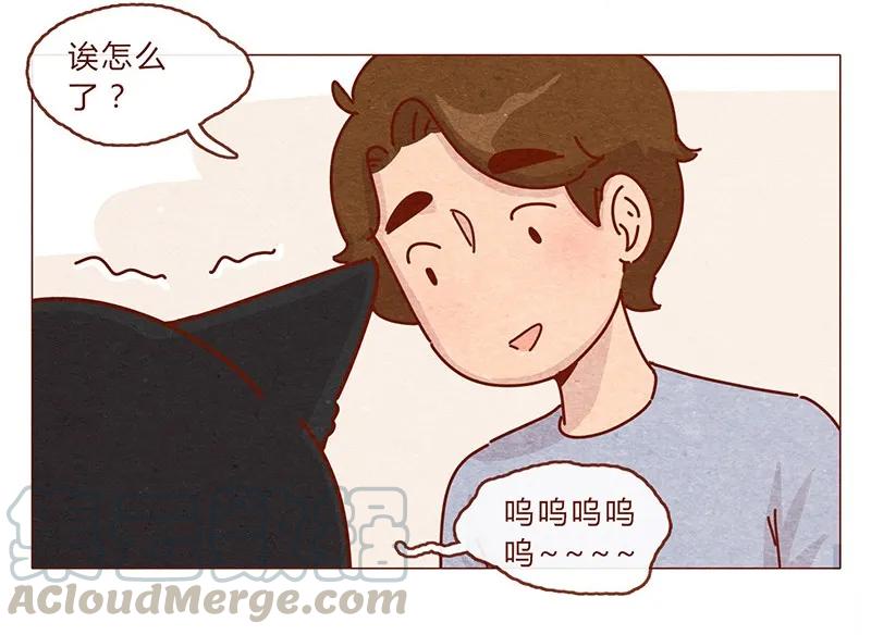喂，看见耳朵啦 - 203话 遇到命中注定的猫猫 - 第9张图