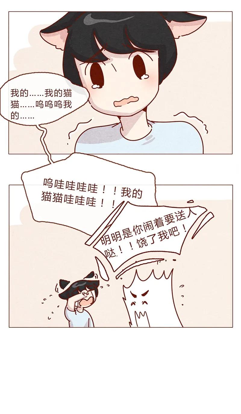 喂，看见耳朵啦 - 203话 遇到命中注定的猫猫 - 第10张图