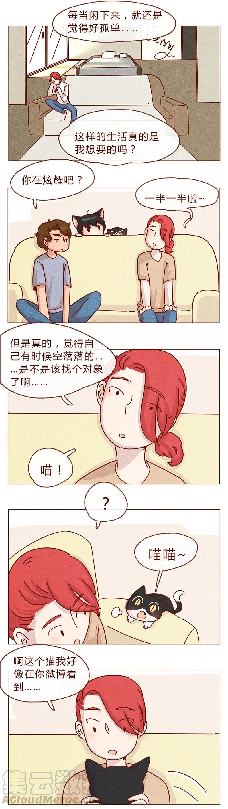 喂，看见耳朵啦 - 203话 遇到命中注定的猫猫 - 第5张图