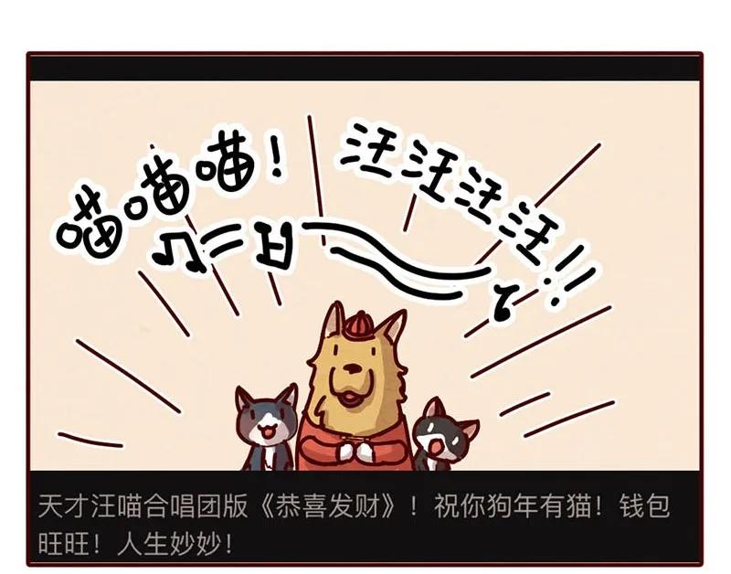 喂，看见耳朵啦 - 205话 知名宠物博主的养成办法 - 第6张图