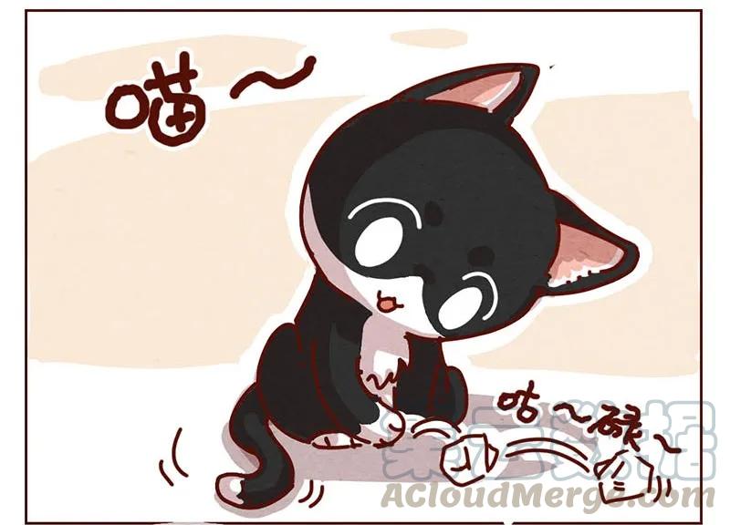 喂，看见耳朵啦 - 206话 谁的后裔？ - 第13张图