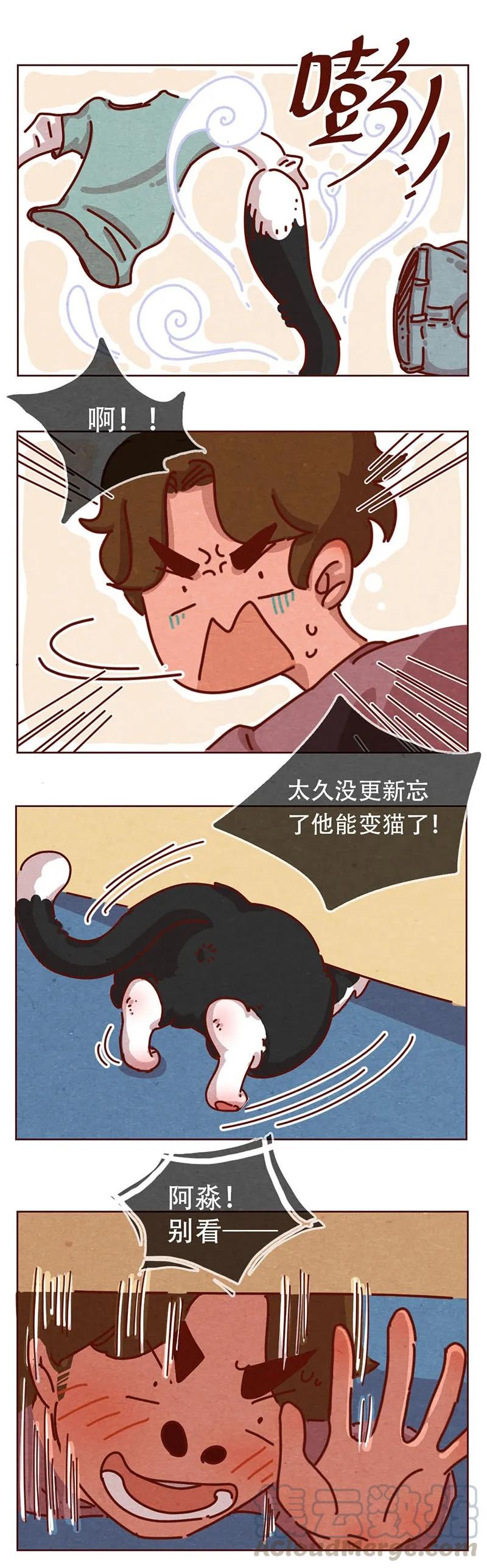 喂，看见耳朵啦 - 206话 谁的后裔？ - 第9张图