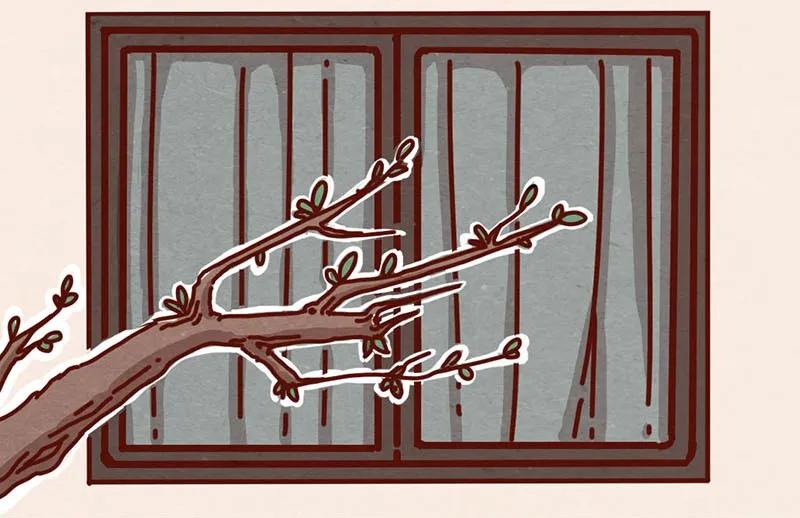 喂，看见耳朵啦 - 208话 出发！菜市场大冒险！ - 第3张图