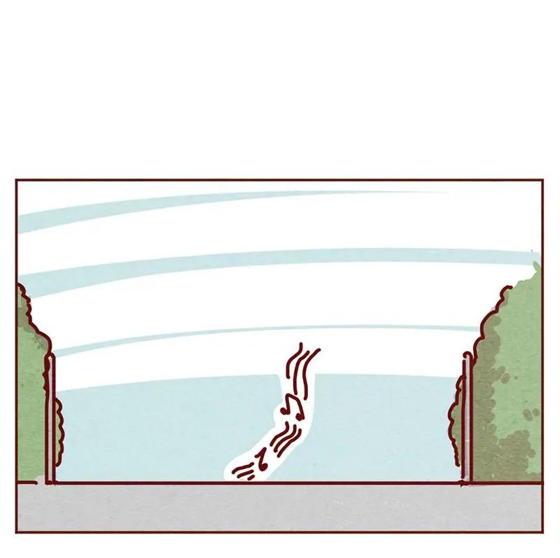 喂，看见耳朵啦 - 210话 大树大树 - 第6张图